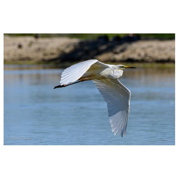 PHOTO84, CLUB, 84 , LUBERON